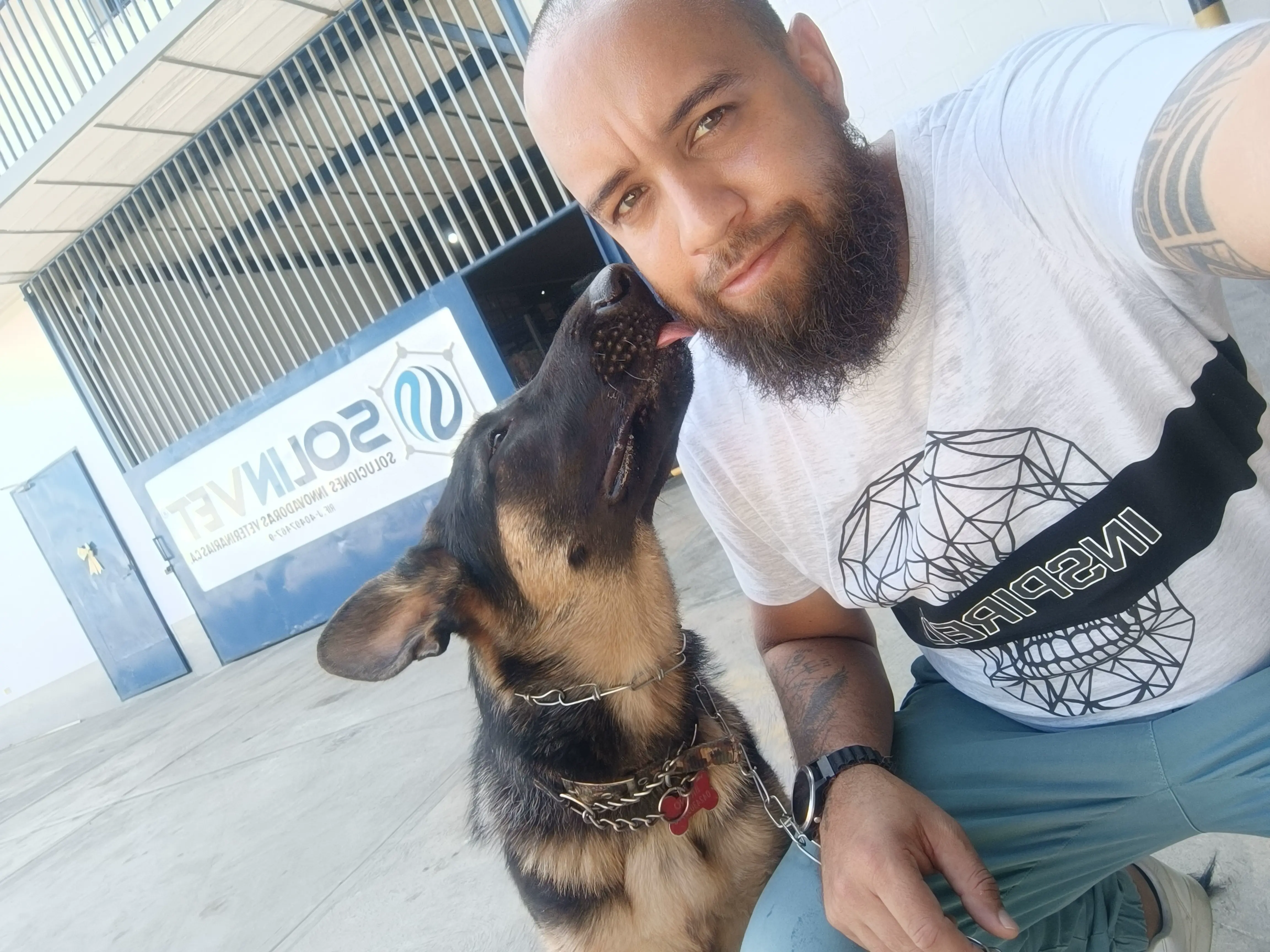 Entrenamiento de perros con problemas de obediencia en Altos Mirandinos