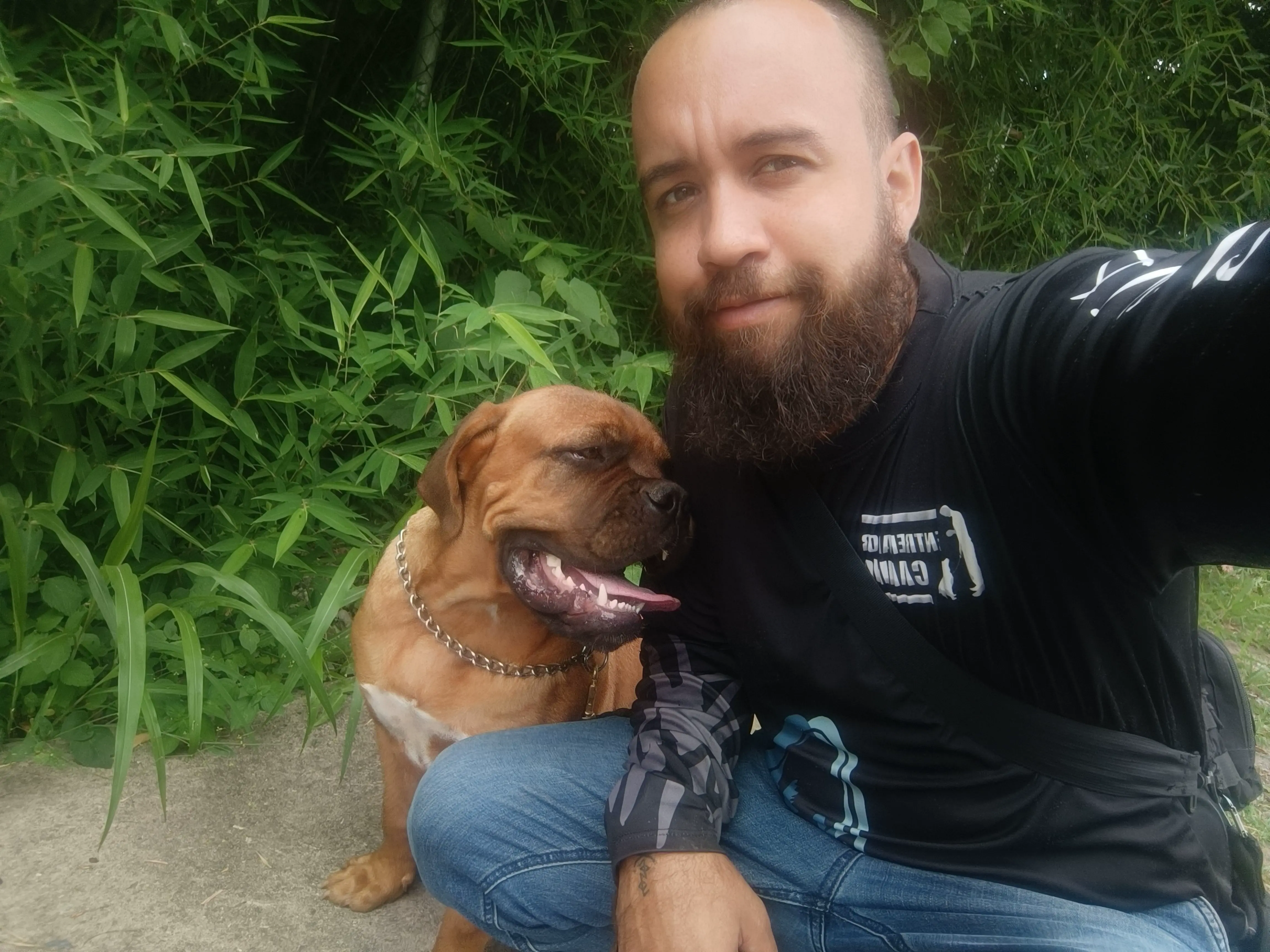 Entrenamiento de cachorros en Caracas y Altos Mirandinos