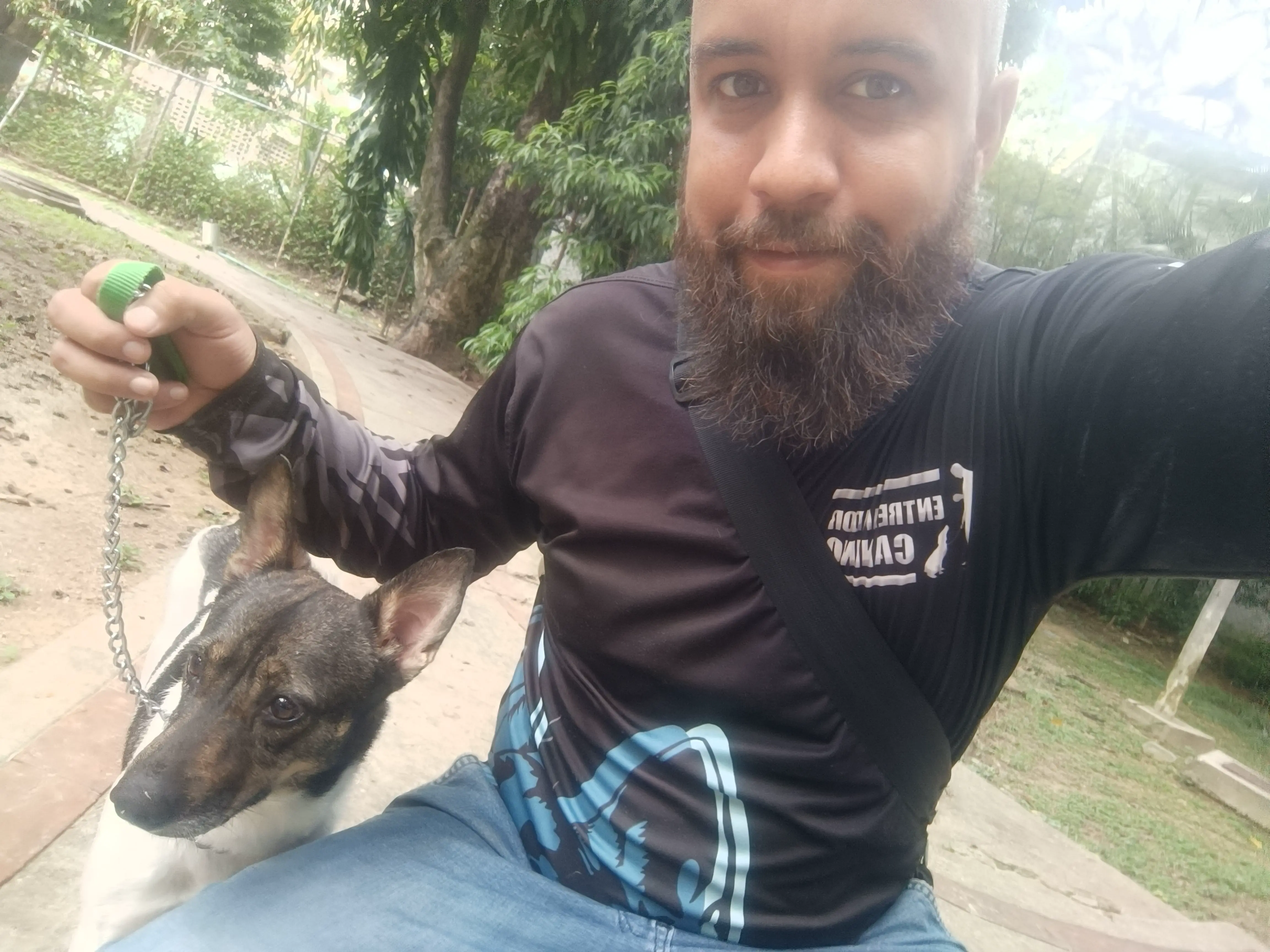 Modificación de conducta en perros agresivos en Caracas