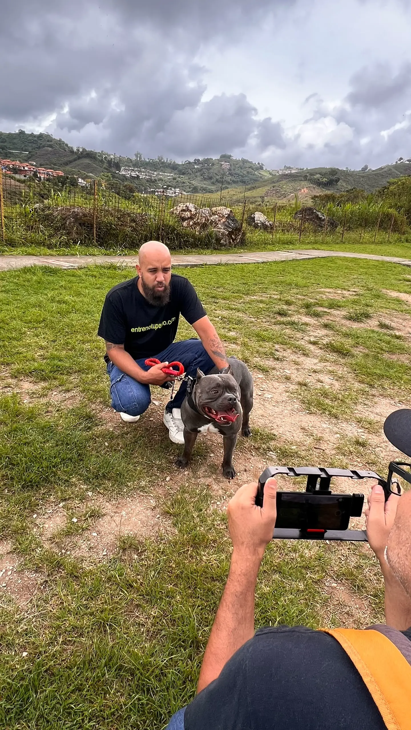 Entrenamiento de perros con problemas de obediencia en Caracas