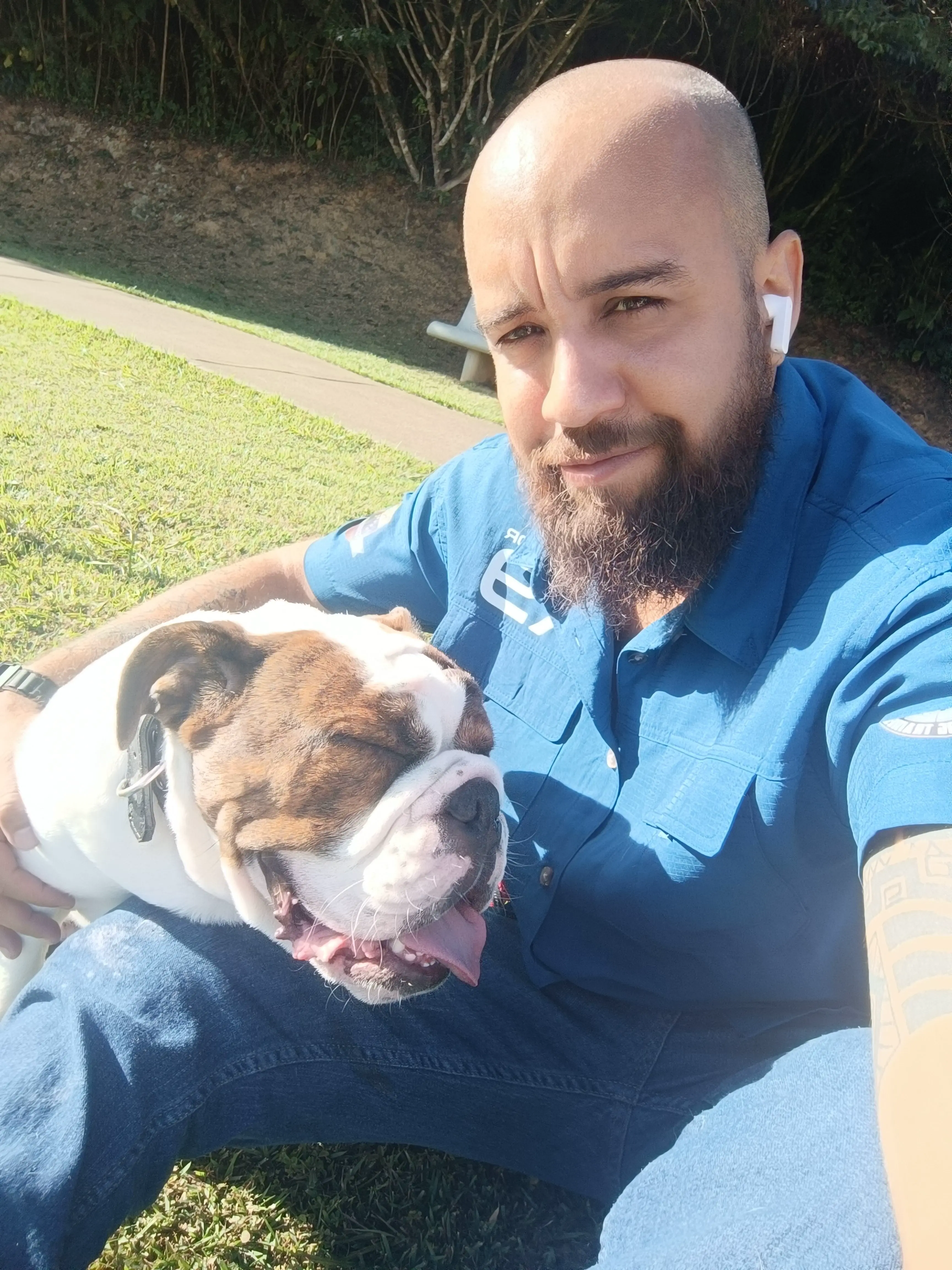 Resultados de entrenamiento de perros con problemas de conducta en Caracas