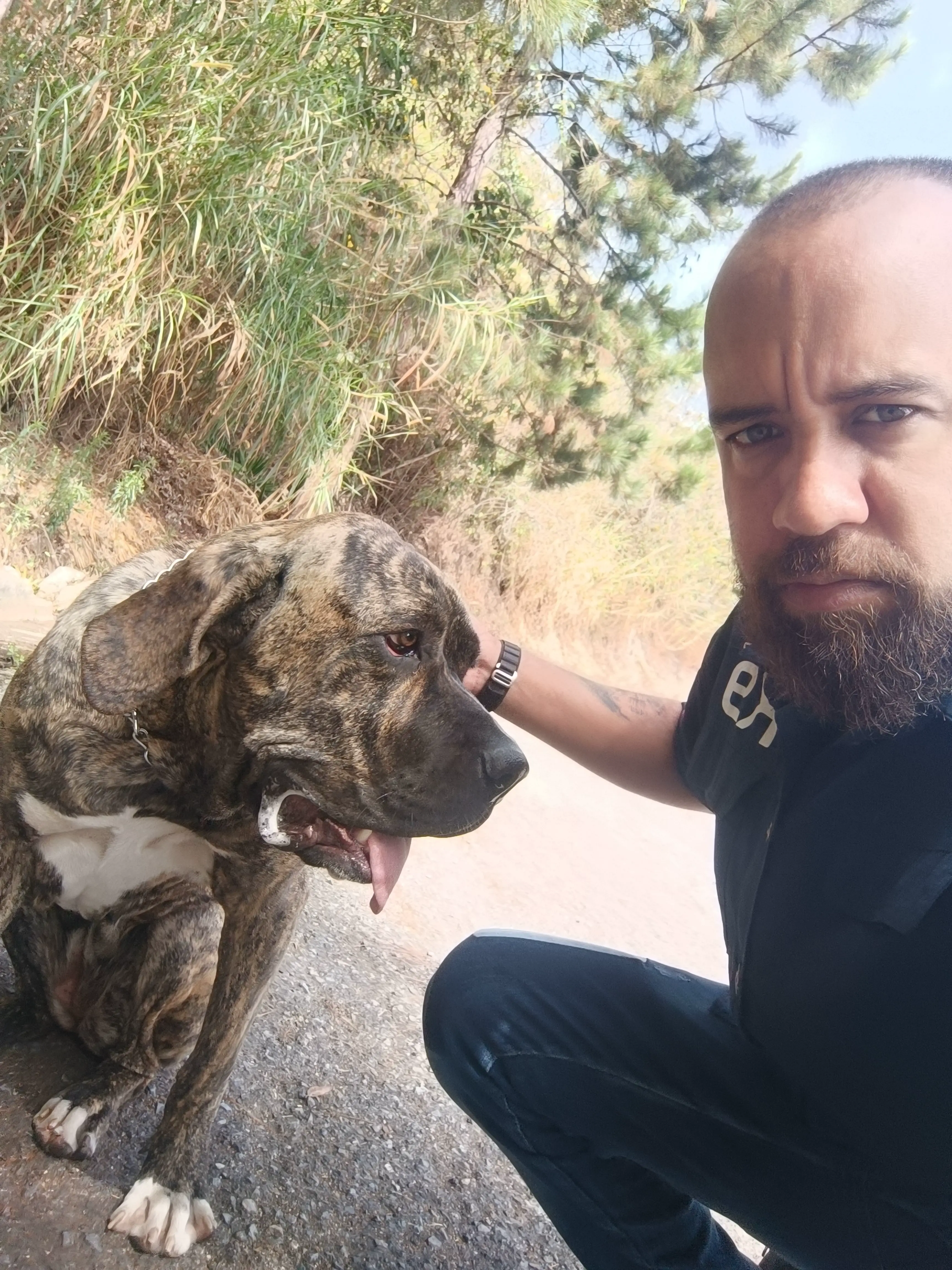 Entrenamiento de perros con ladridos excesivos en Altos Mirandinos