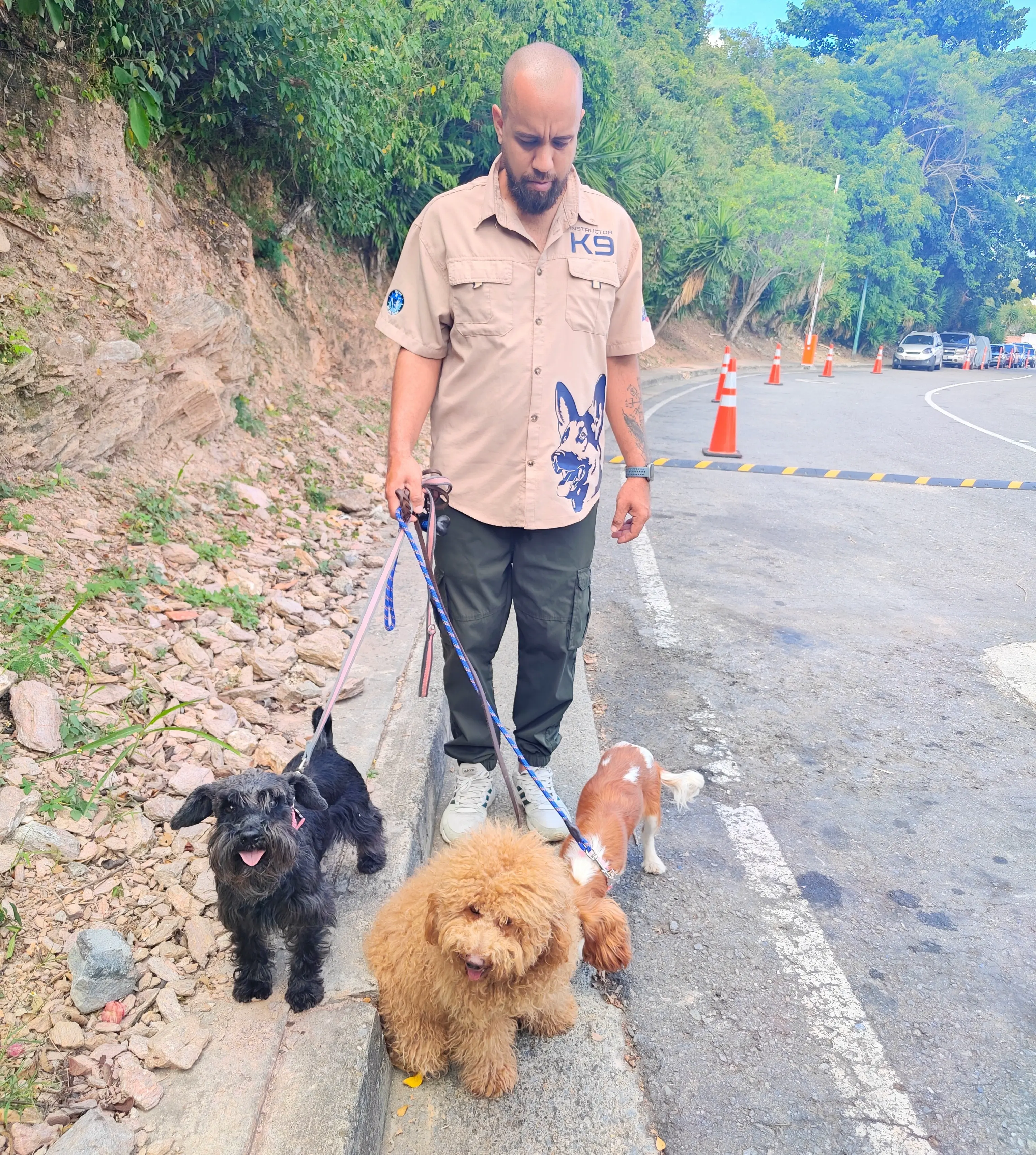Entrenamiento de perros con problemas de ansiedad en Caracas